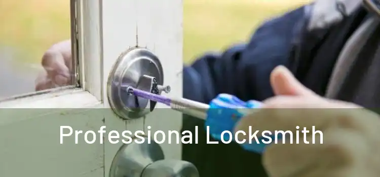  Professional Locksmith 
